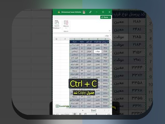 راهنمای کامل انتقال عکس به اکسل: چگونه تصاویر را به راحتی در فایلهای اکسل وارد کنیم؟